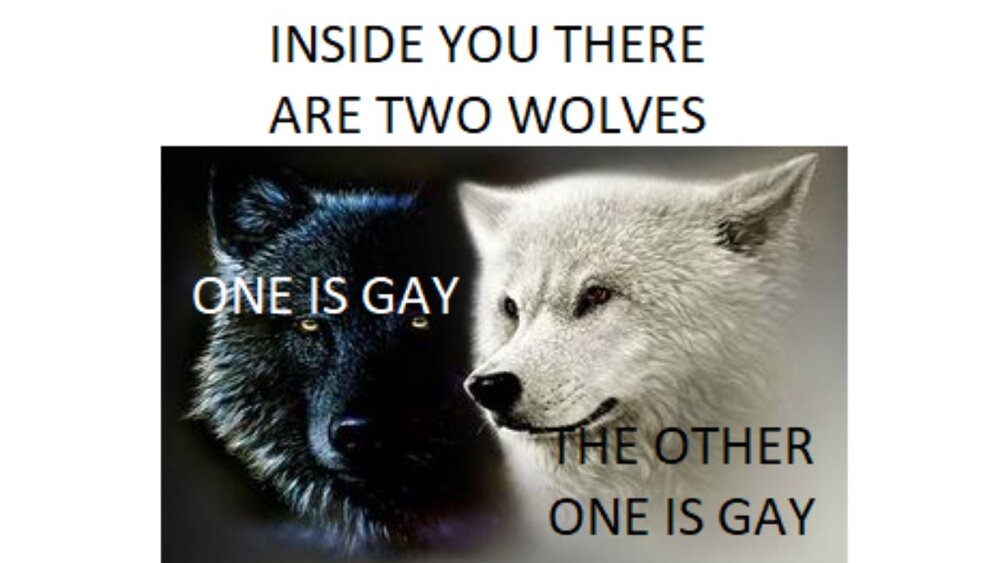 Inside you there are two wolves
