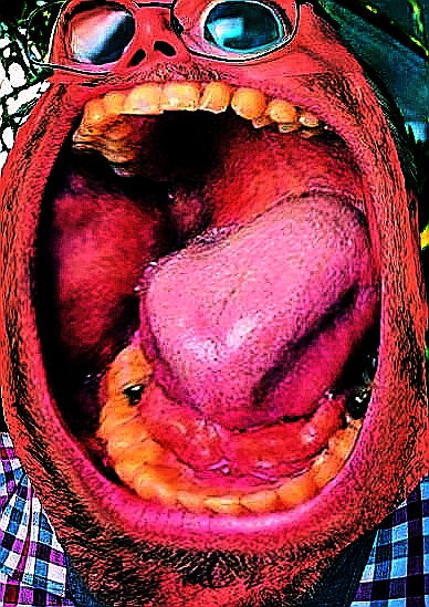 1565718022027