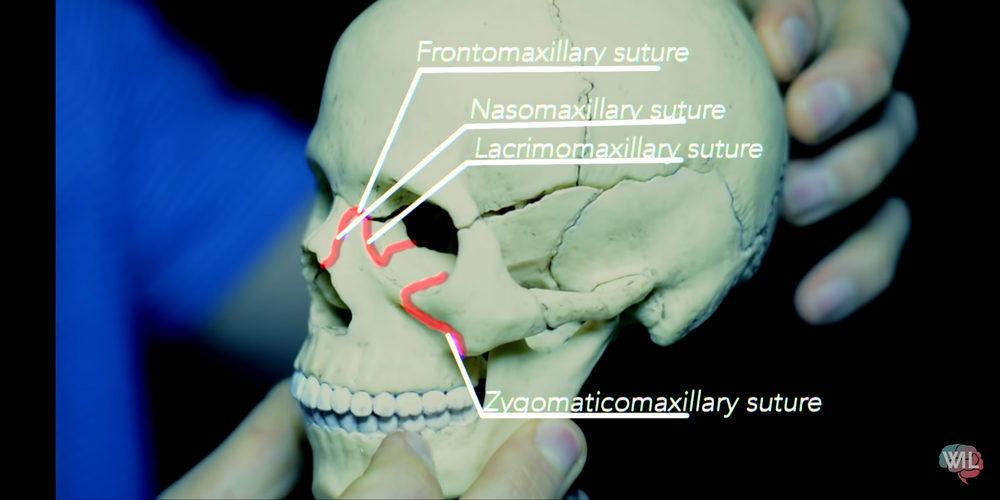 Screenshot 20200719 115215