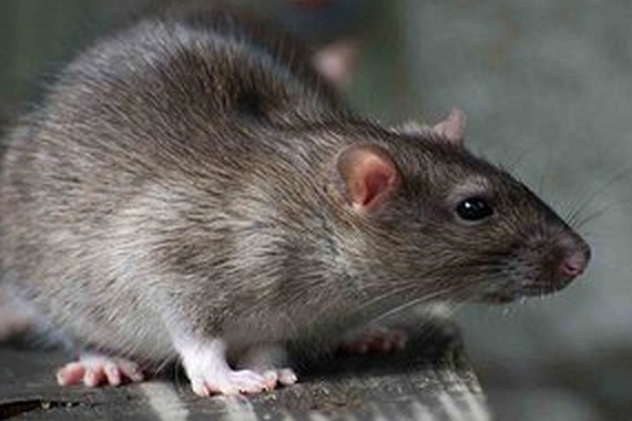 738C64A6 27A9 4CF3 A5D0 622AE6EC5808