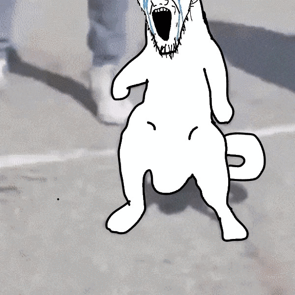 NOO