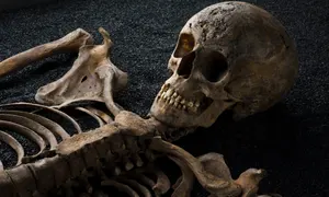 1595328800223