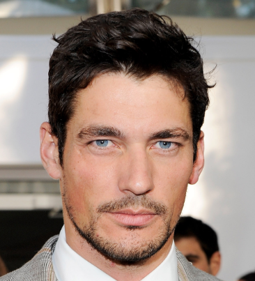 Gandy