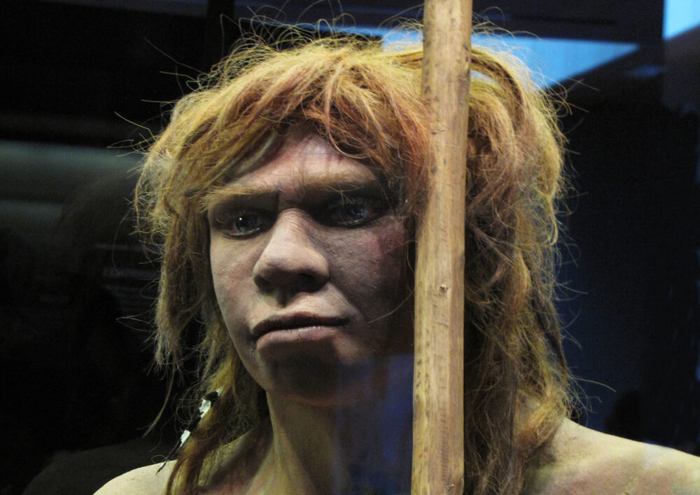 Neanderthal woman GettyImages 498346065 crop copy 1200x848