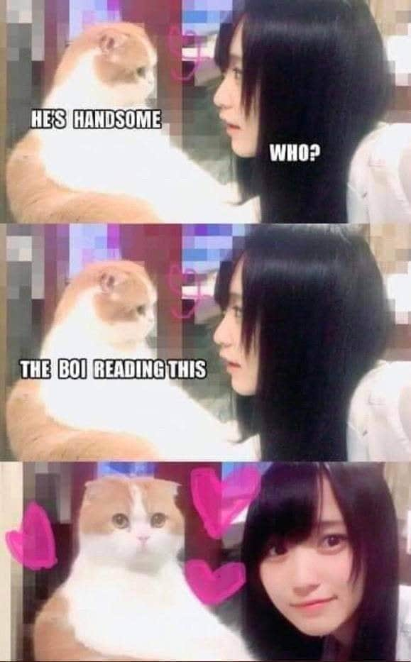 Comment 1595154777OGCNQrM7YricaLKYk4d36A