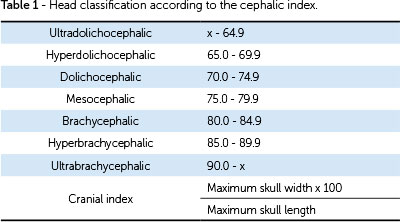 6EC770DF B035 40D3 B418 4EF8B3BE502D