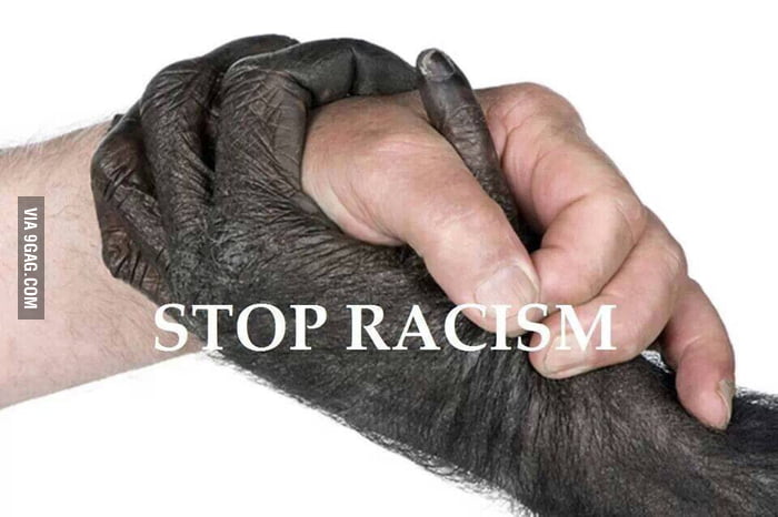 1595552558529