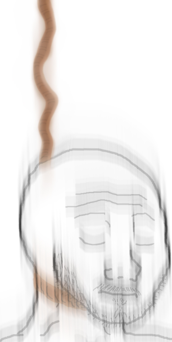 2388