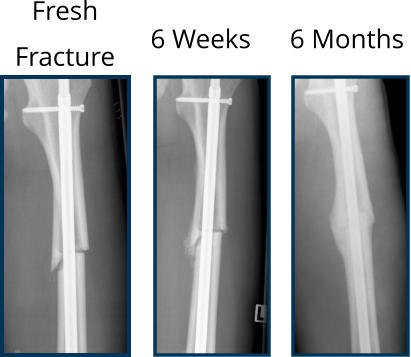 IMG 20200724 175935 442