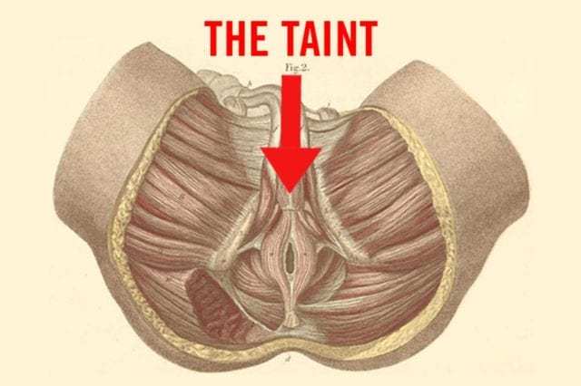 Taint e1583803442197