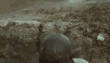 1595811955141