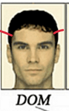 Screenshot 20200728 070013