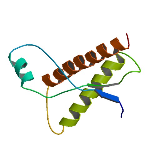BOVINE PRION PROTEIN 1dx0 asym r 500