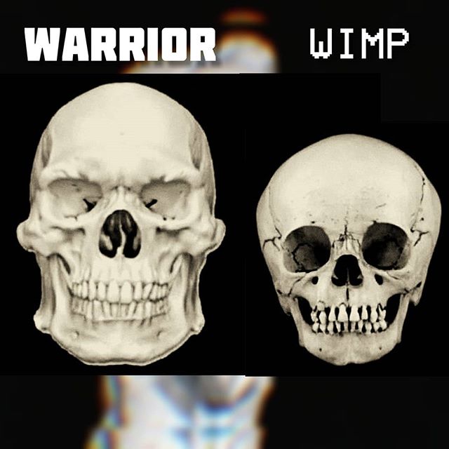 0022182A 3160 4225 A7BF 80309C0E4E41