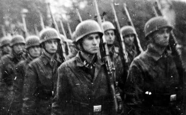 98e59985ba6dcf8133c28a43d954e4a6