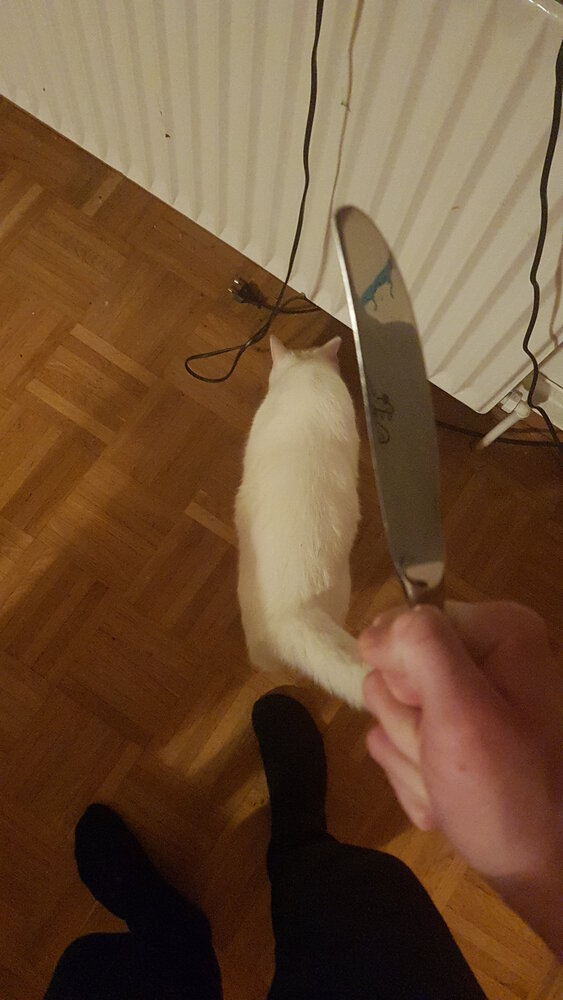 JPEG 20200729 010136