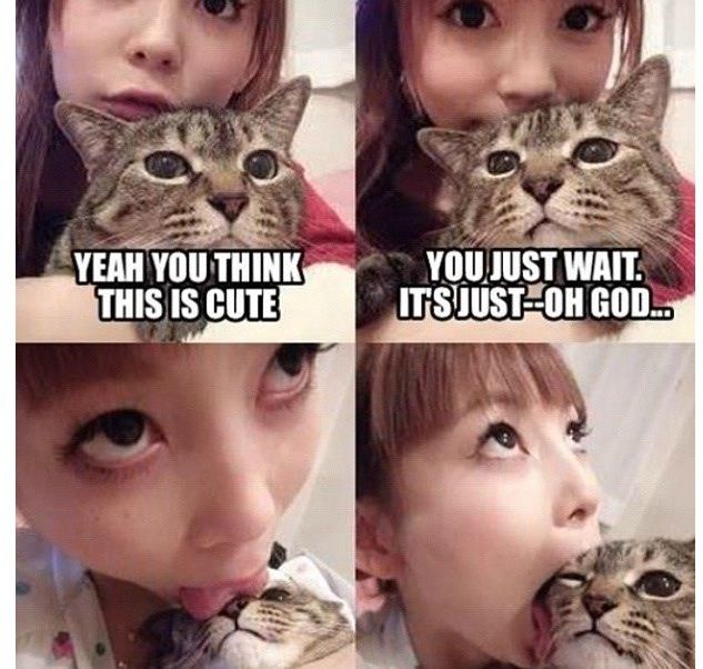 377C9343 9E33 4A5E B0AC 47B843D0BA0D