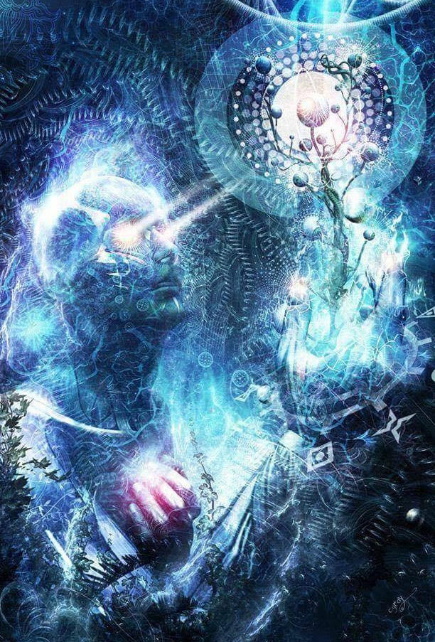 31D714A5 A31E 4600 9711 B8CEEF89890E