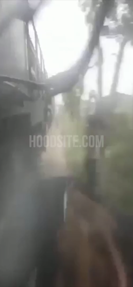 3CD95BA3 1EE0 47AB A5DD B850738899D6