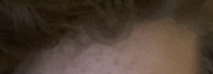 1596067830088