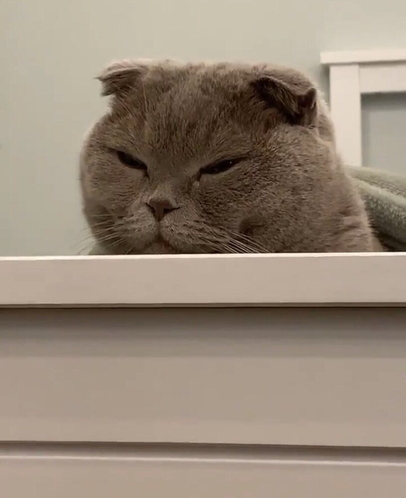 87C58B9D F587 45DC BE34 35A5E3EF184B