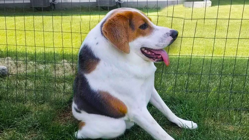 98A29FAD B860 465A A49F D461E187DE5E