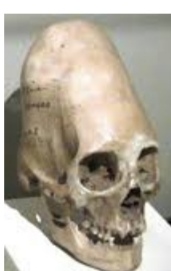 Screenshot 20200731 190027