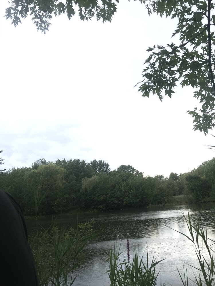 678619DC 1BFD 4905 8790 110D9B7CD3E1