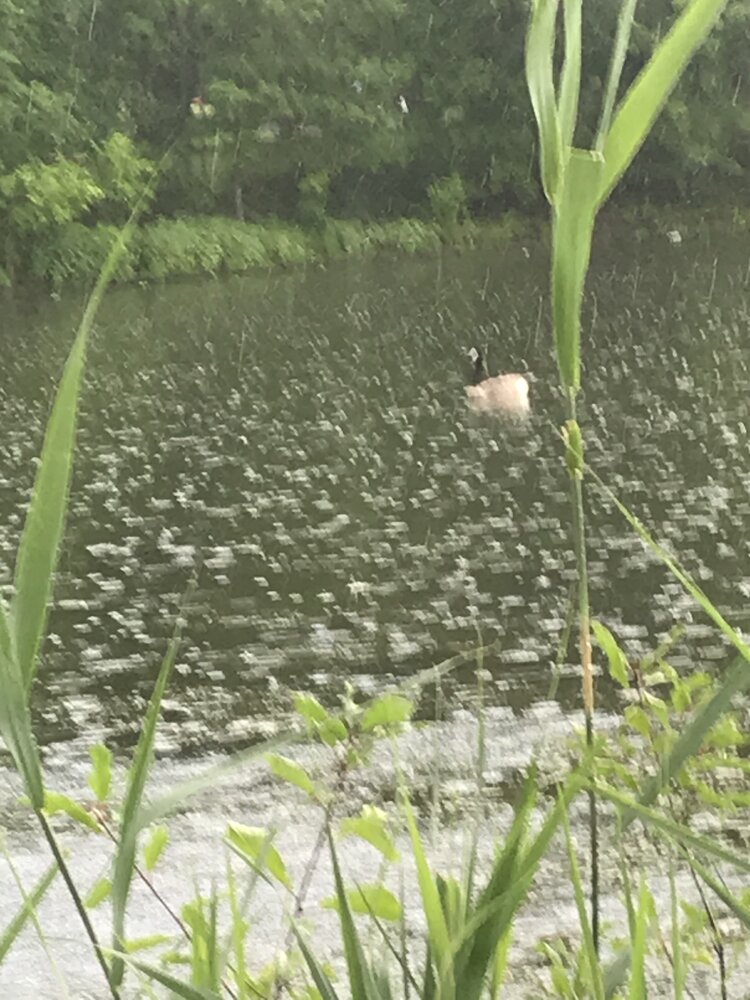 35E584CC 2049 494D 9C33 CC40A60F20F8