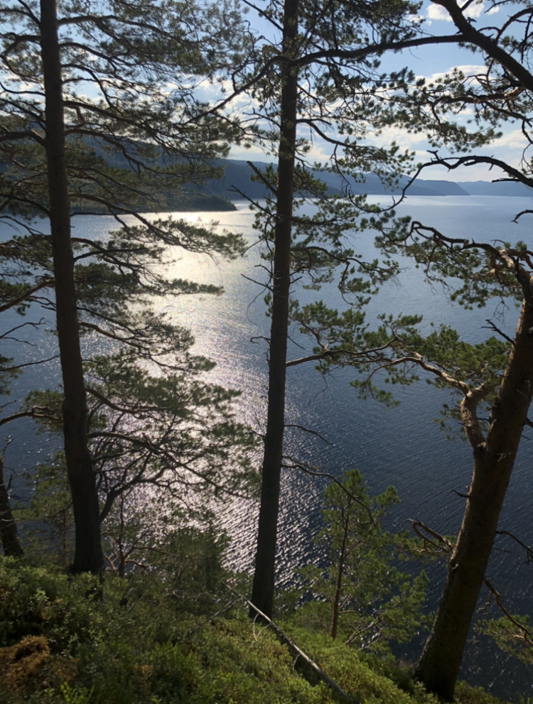 8E5E2327 61F3 433D AC44 E56E9CD00717