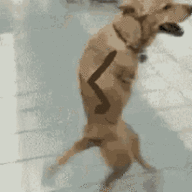 1593856097430.png