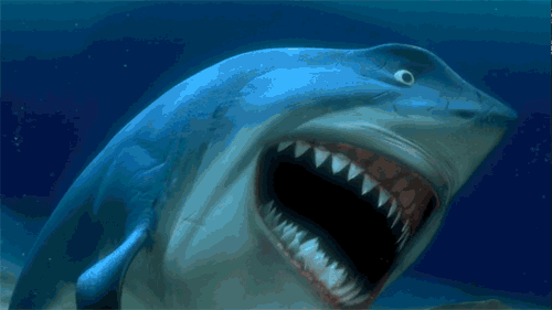 848880AB-7AE4-4C81-9006-2FC55EC4777F.gif