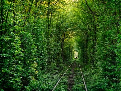 tunnel-of-love-ukraine-cr-getty.jpg