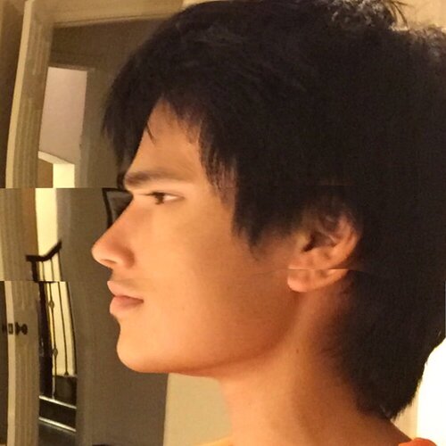 Thecel2