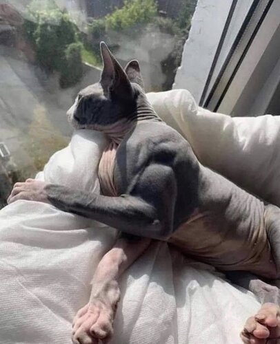 723FFF21 1808 4AA3 B52C B3431F0C1794