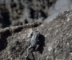1595445722087.gif