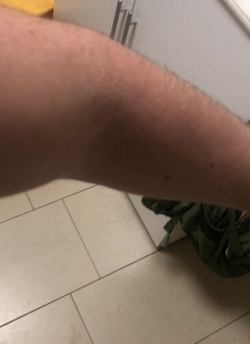 95E6B57C F12D 427D 8BC6 63B2C022C364