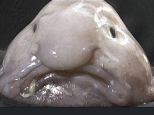 46DD0C5C 525C 481E 8A3F 7D2D769DEE15