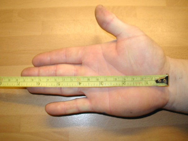 Average hand size