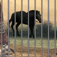 548930 3baabe3622039e654427f29bad7b9f36