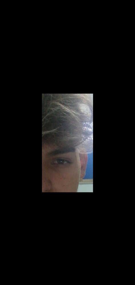 Screenshot 20200802 134441 comwhatsapp