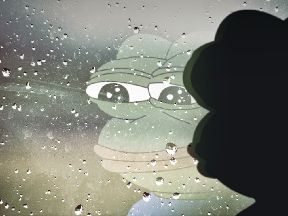 Pepe the sad frog in the rain