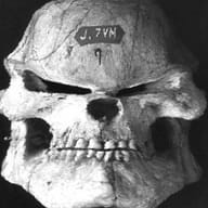 SAVE 20200803 224336