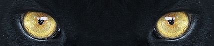 1596476227660