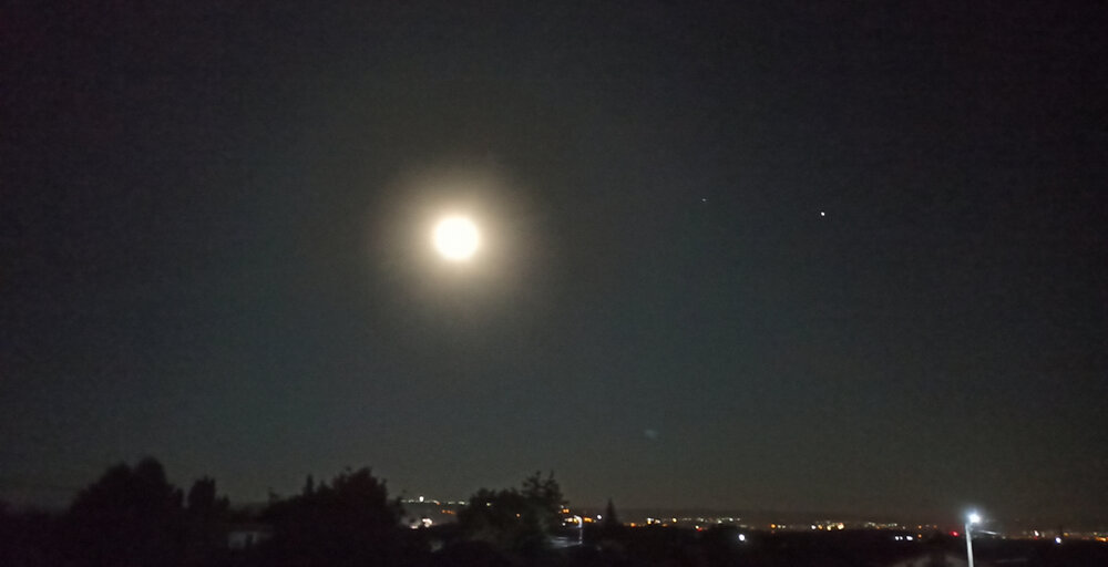 Moonmogg