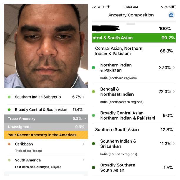 Indian ancestry 2