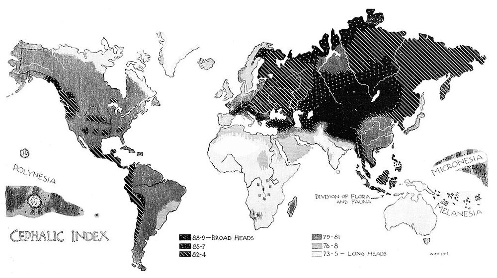 1024px PSM V50 D602 World cephalic index map