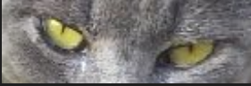 1596905170866