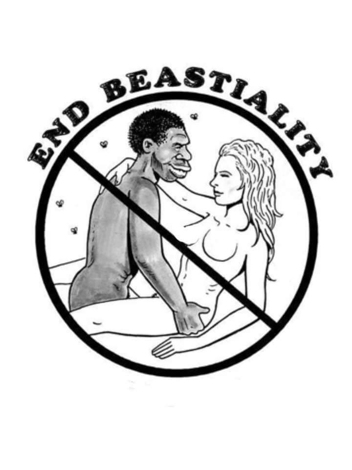 117573951 290919235518313 114334240348199898 n