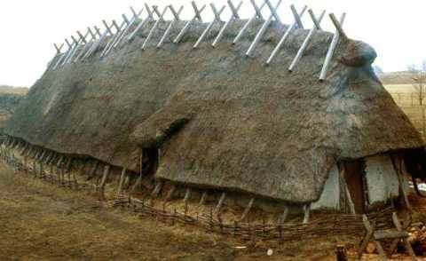 A5207862 CEF1 4EC6 9CFB 86E5DA78C26A